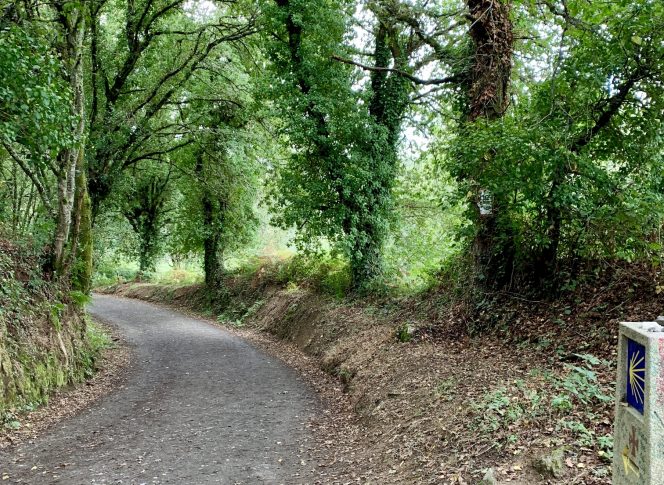 French Way Trail